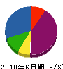 広沢造園 貸借対照表 2010年6月期