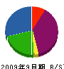 薩誠興業 貸借対照表 2009年9月期