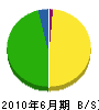 中澤建設 貸借対照表 2010年6月期