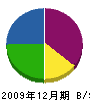 天昇工業 貸借対照表 2009年12月期