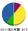 井戸木塗装店 貸借対照表 2011年6月期