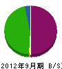 竹登 貸借対照表 2012年9月期