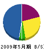 田中塗装 貸借対照表 2009年5月期