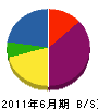 龍実 貸借対照表 2011年6月期