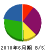 岩田塗装店 貸借対照表 2010年6月期