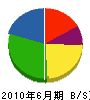 田中庭樹園 貸借対照表 2010年6月期