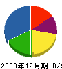 天塩川工業 貸借対照表 2009年12月期