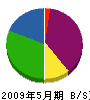 奥江建設 貸借対照表 2009年5月期