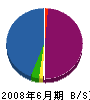 松井電化サービス 貸借対照表 2008年6月期