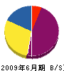 斎藤造園 貸借対照表 2009年6月期