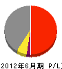 矢澤建設 損益計算書 2012年6月期