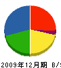 小島 貸借対照表 2009年12月期