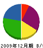 山川工務店 貸借対照表 2009年12月期