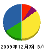 曽根組 貸借対照表 2009年12月期