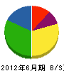篠田設備 貸借対照表 2012年6月期