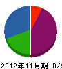 柳沢さく泉工業 貸借対照表 2012年11月期