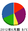 カネ亥松井商会 貸借対照表 2012年6月期