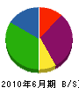 坂元木工工芸 貸借対照表 2010年6月期