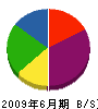 渡辺建設 貸借対照表 2009年6月期