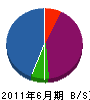 タイヨウ 貸借対照表 2011年6月期