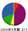 中沢電工 貸借対照表 2009年9月期