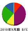 東信商会 貸借対照表 2010年9月期