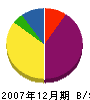前田電気商会 貸借対照表 2007年12月期