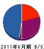 野村塗装店 貸借対照表 2011年6月期