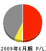 大濱建設 損益計算書 2009年6月期