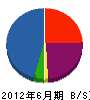琉球動力 貸借対照表 2012年6月期