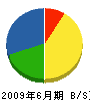 尾崎建設工業 貸借対照表 2009年6月期