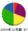 サン・エイ造園 貸借対照表 2009年12月期