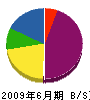 園田組 貸借対照表 2009年6月期