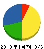 日本技建 貸借対照表 2010年1月期
