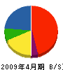 滝沢電気 貸借対照表 2009年4月期
