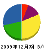 キタニ 貸借対照表 2009年12月期