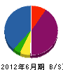 サイエンス堺電子 貸借対照表 2012年6月期