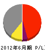 碓井電気商会 損益計算書 2012年6月期