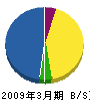 郷電設 貸借対照表 2009年3月期