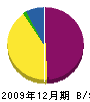 アラモーノ鈴電 貸借対照表 2009年12月期