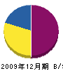 信孝電業 貸借対照表 2009年12月期