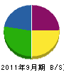 大塚組 貸借対照表 2011年9月期