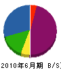 カネ亥松井商会 貸借対照表 2010年6月期