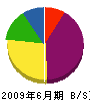 田中塗装店 貸借対照表 2009年6月期