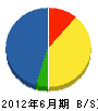 田中設備工業 貸借対照表 2012年6月期