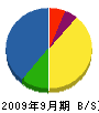 渡辺電気工事 貸借対照表 2009年9月期