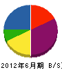 若林勇商店 貸借対照表 2012年6月期