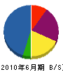 濱島建設 貸借対照表 2010年6月期