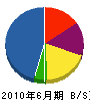 石村電気商会 貸借対照表 2010年6月期