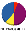 タケガワ 貸借対照表 2012年9月期